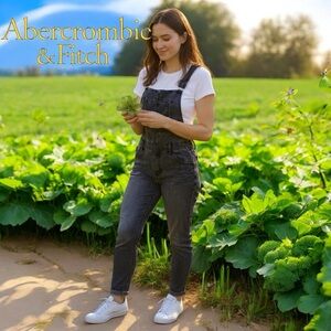 Abercrombie & Fitch gray skinny jean overalls size medium